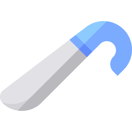 Shoehorn